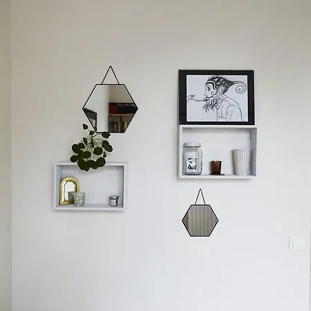 Veeve - Botanical Eclecticism In The 20th Apartment Paris