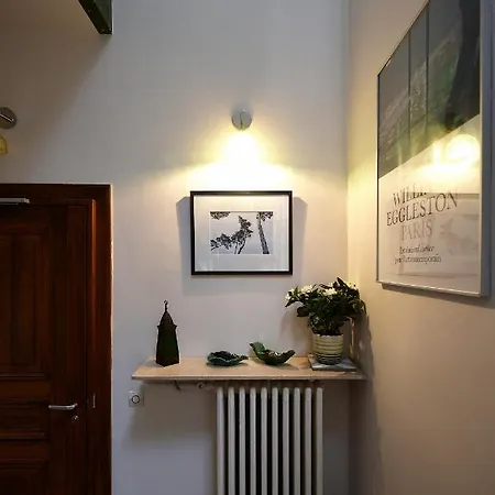 Veeve - Botanical Eclecticism In The 20th Paris