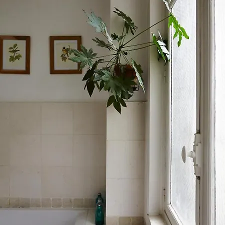 Veeve - Botanical Eclecticism In The 20th Apartment